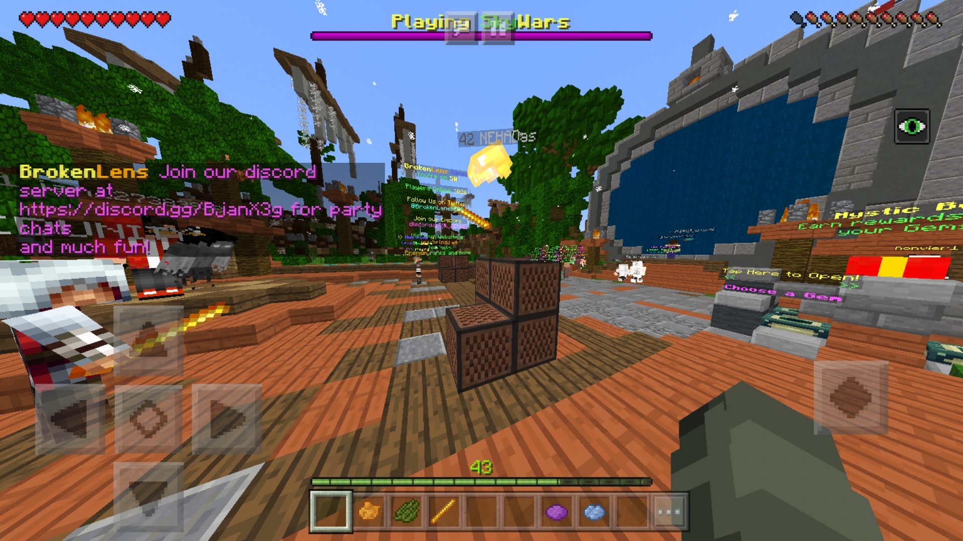 Screenshot_20190313-220129_Minecraft.jpg