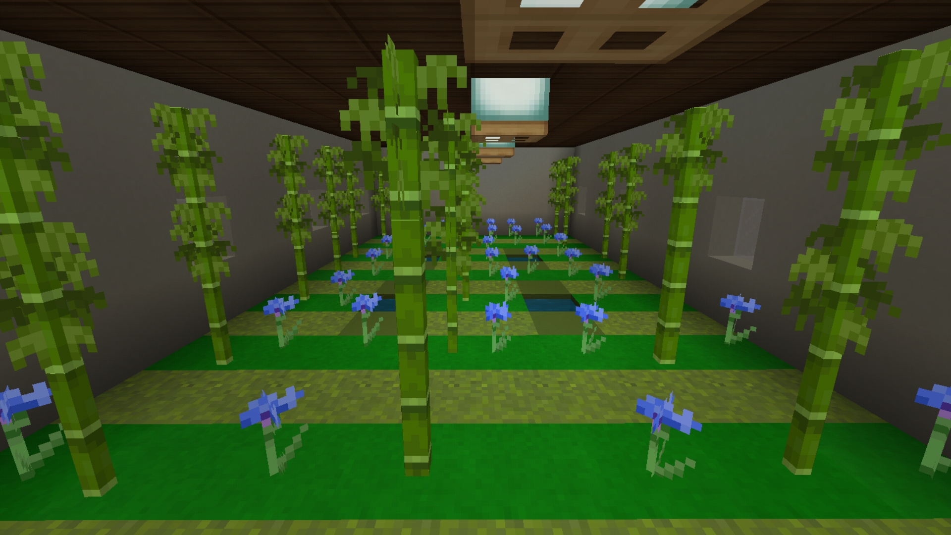 Screenshot_20190315-133550_Minecraft.jpg
