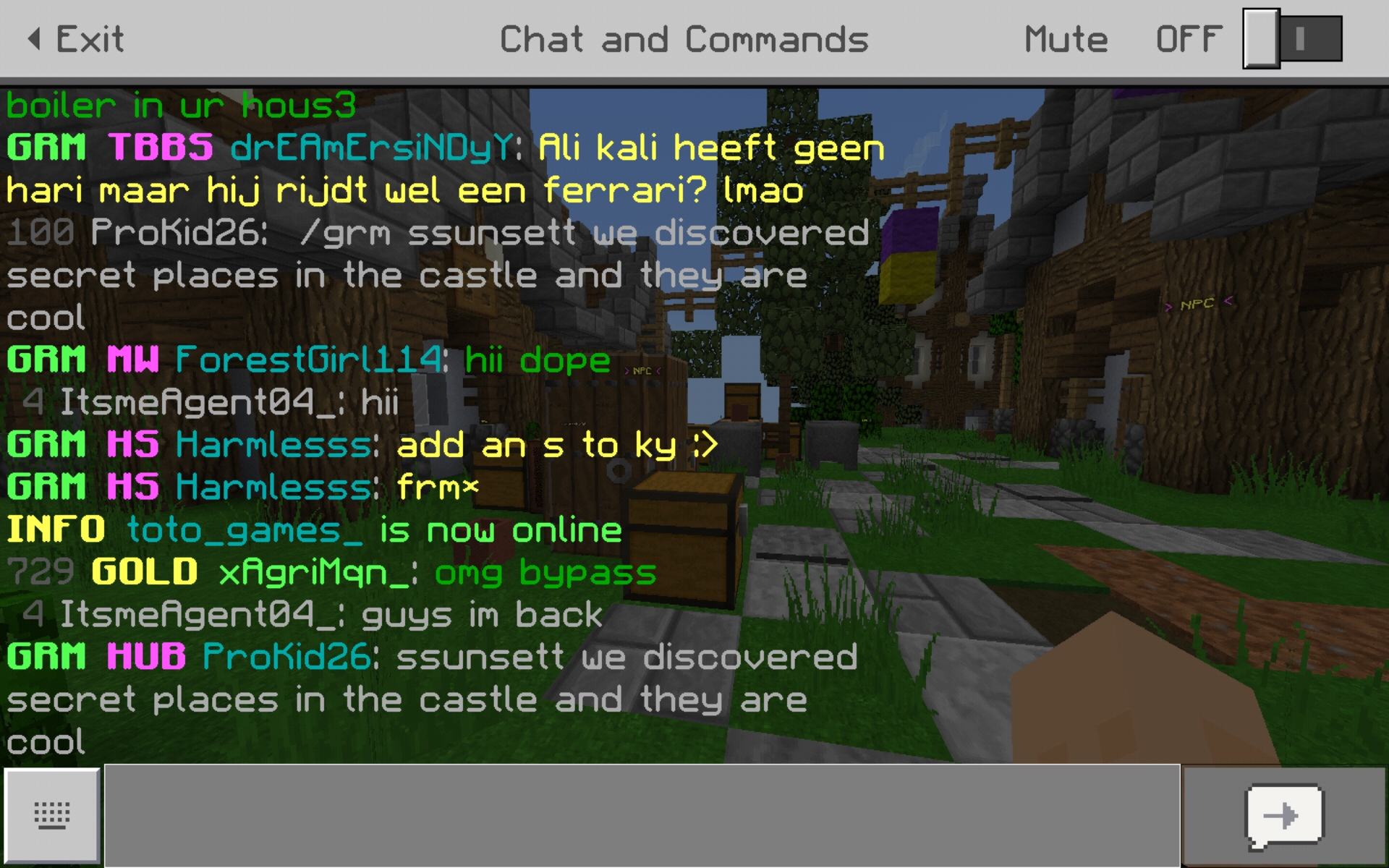 Screenshot_20190317-130350_Minecraft.jpg
