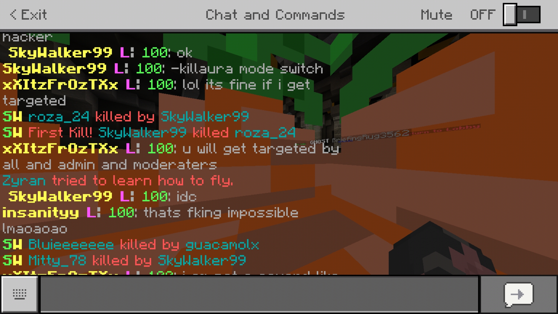 Screenshot_20190325-001136_Minecraft.jpg