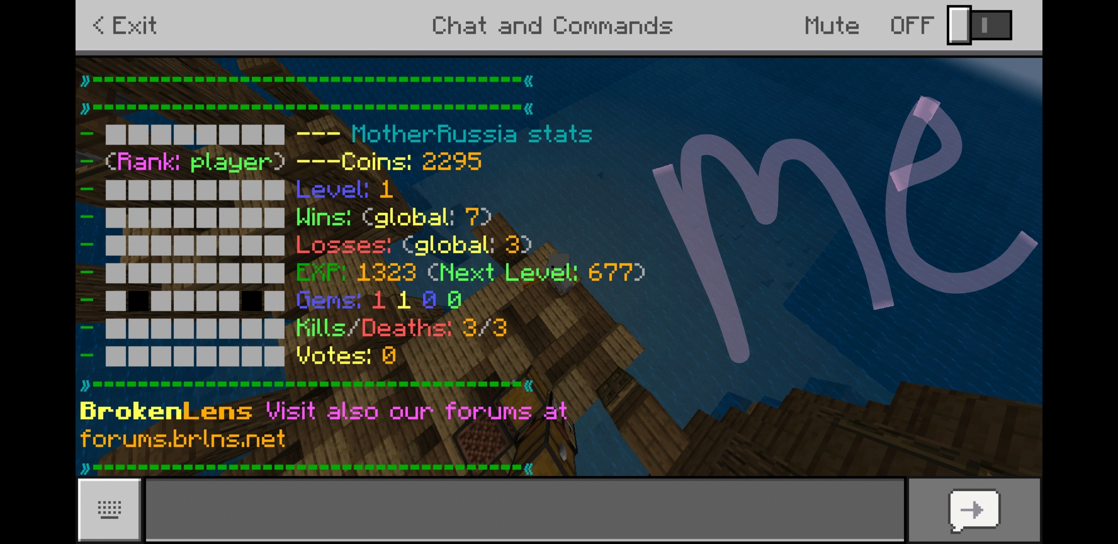 Screenshot_20190325-201138_Minecraft.jpg