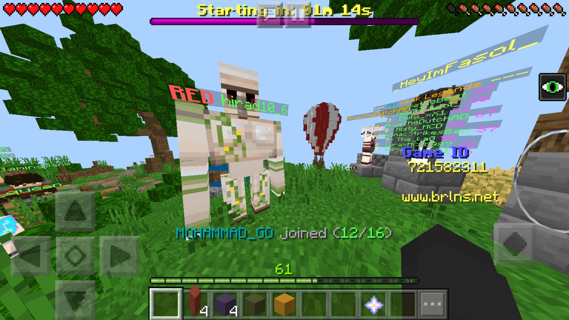 Screenshot_20190407-203038_Minecraft.jpg