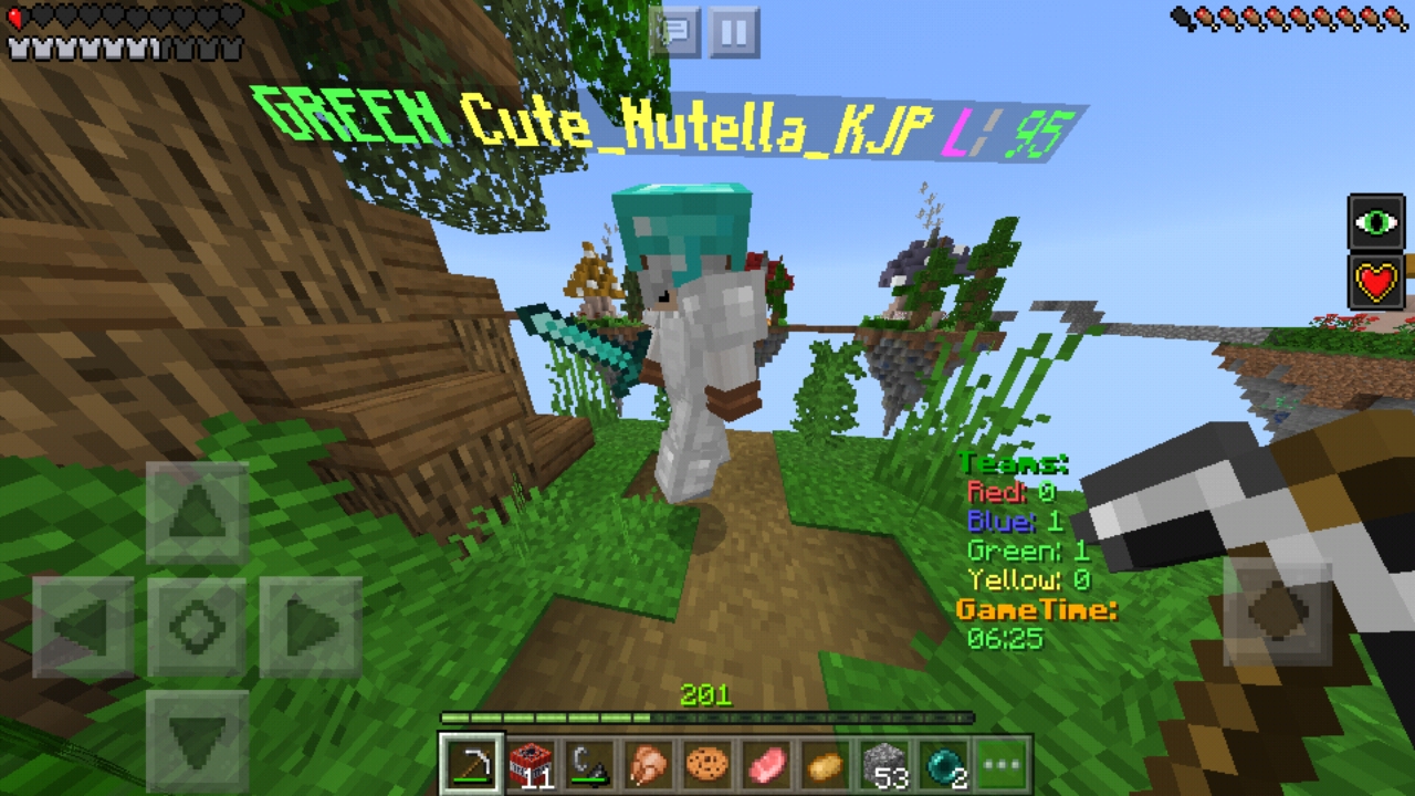Screenshot_20190412-192010_Minecraft.jpg