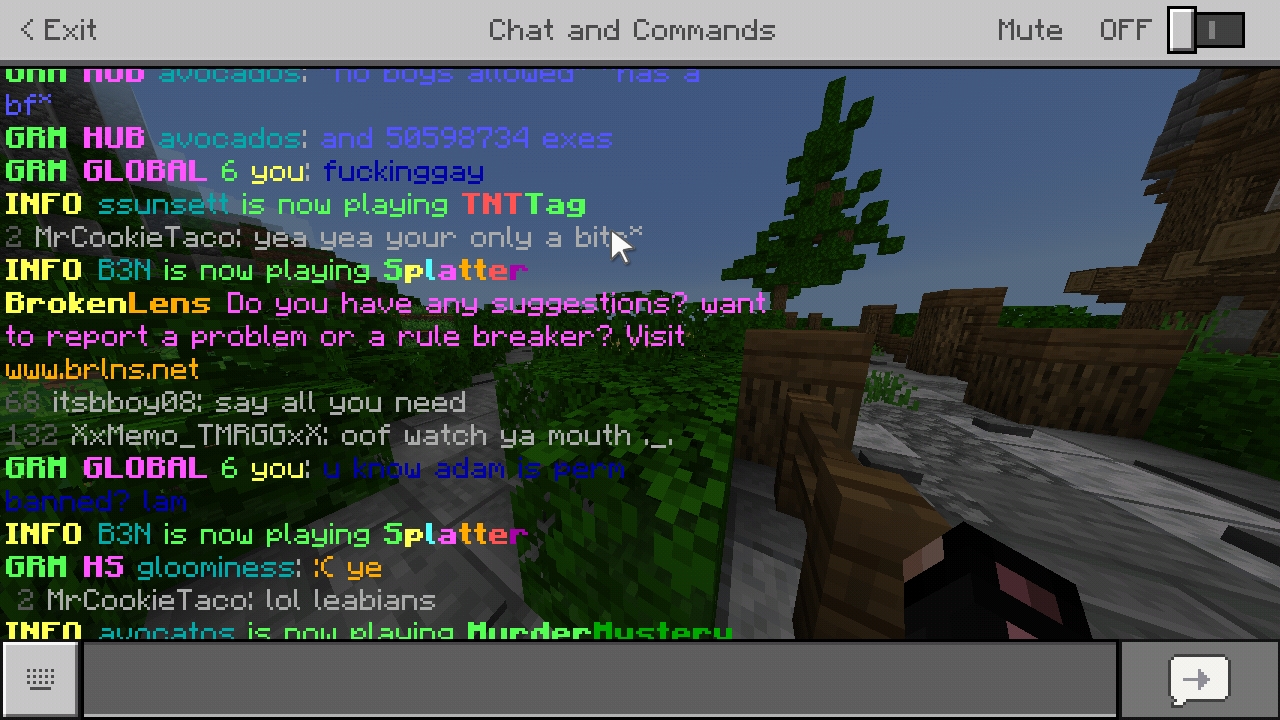 Screenshot_20190412-215426_Minecraft.jpg