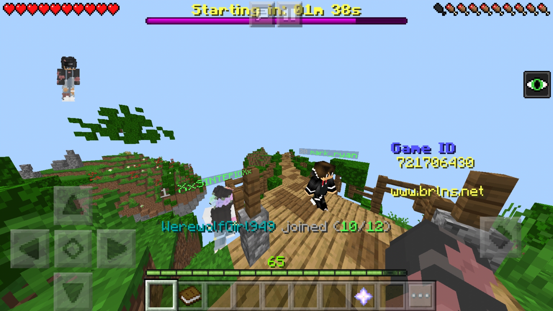 Screenshot_20190414-131037_Minecraft.jpg