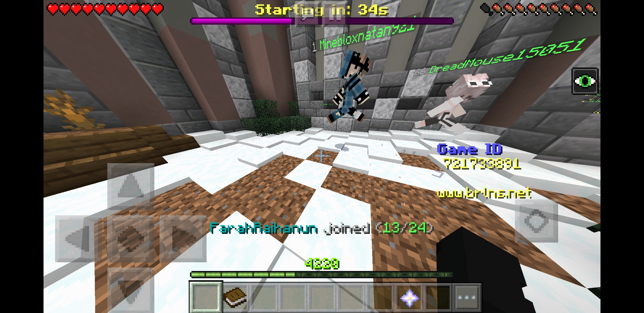 Screenshot_20190415-065310_Minecraft.jpg