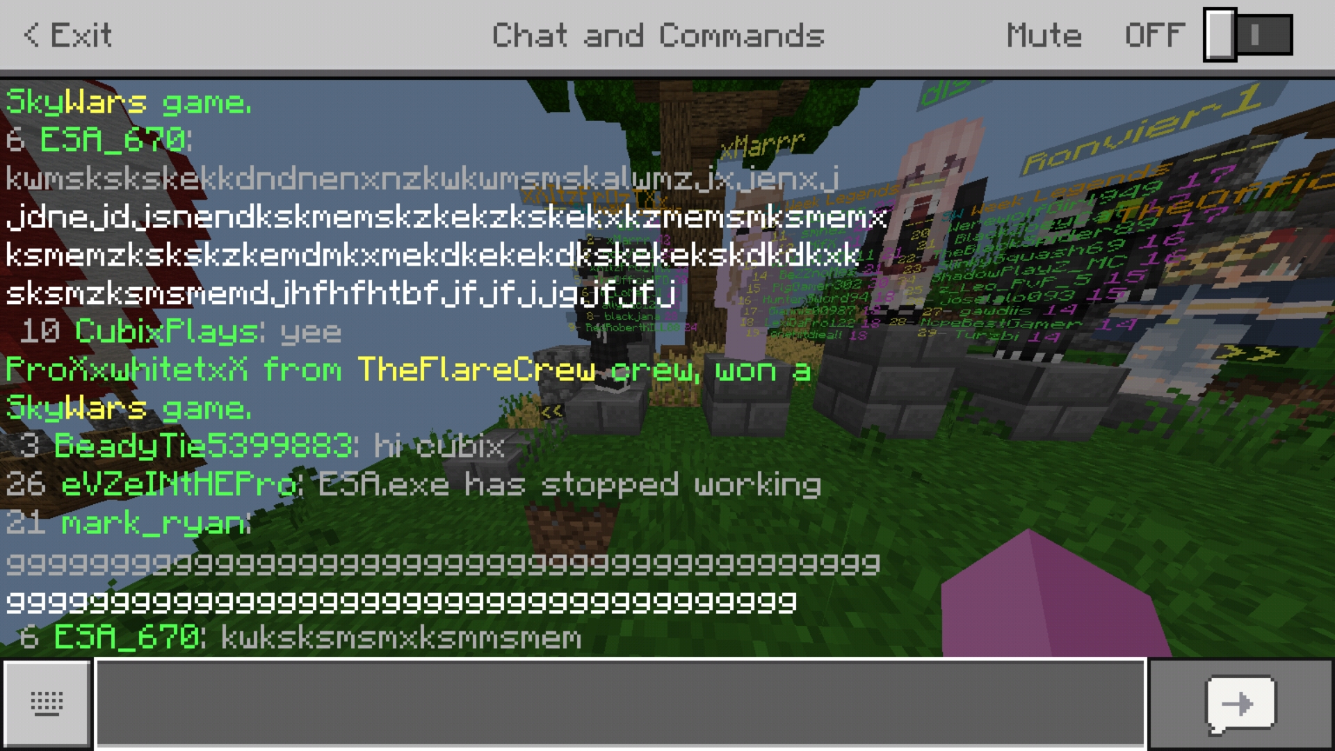 Screenshot_20190416-155713_Minecraft.jpg