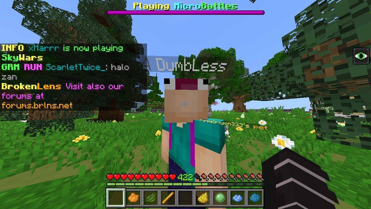 Screenshot_20190419-102954_Minecraft.jpg