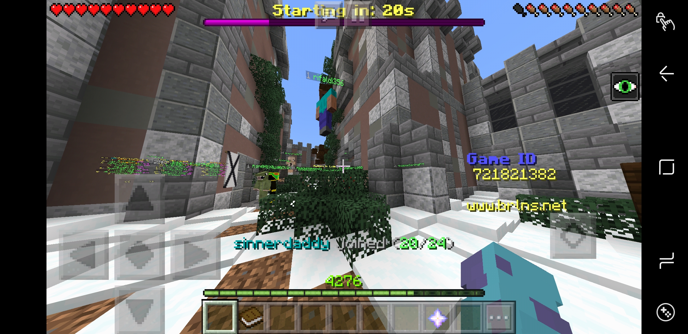 Screenshot_20190419-175511_Minecraft.jpg