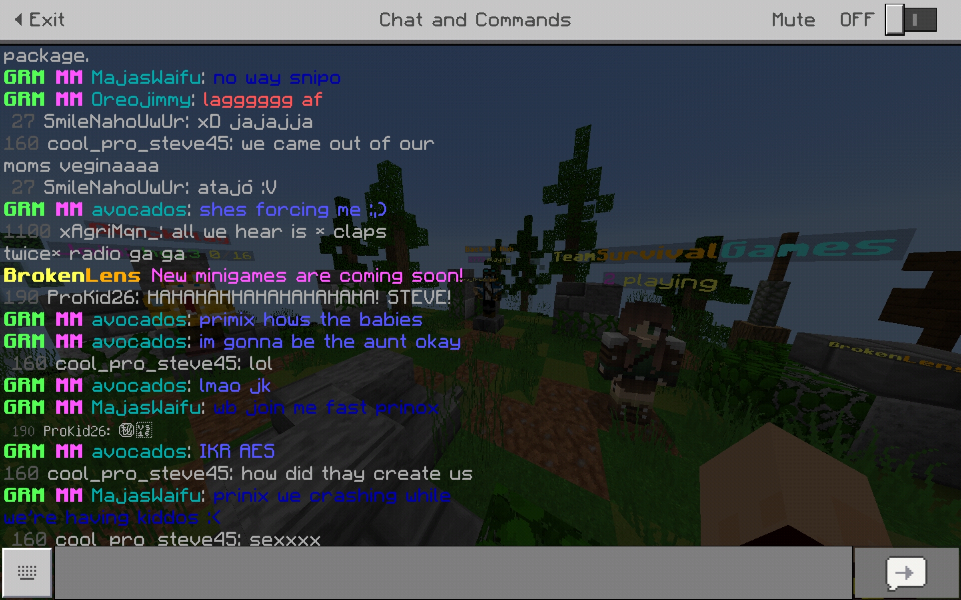 Screenshot_20190425-204857_Minecraft.jpg