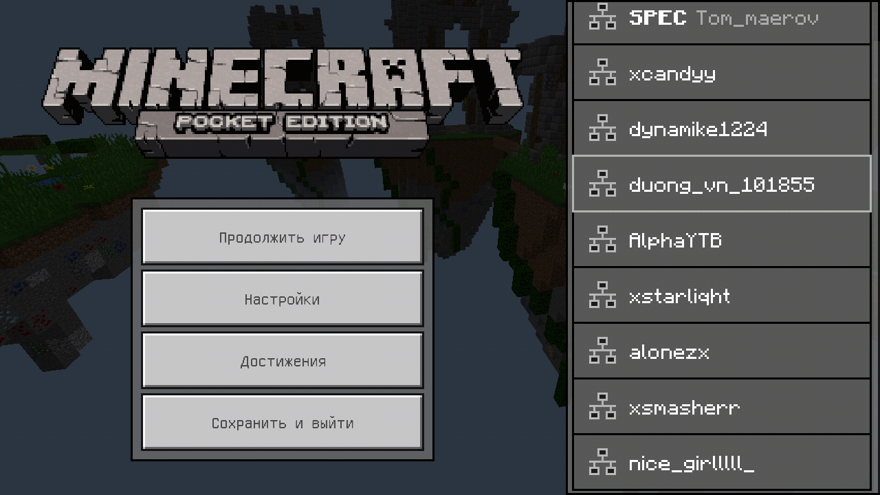 Screenshot_20190504-161329_Minecraft - Pocket Edition.jpg