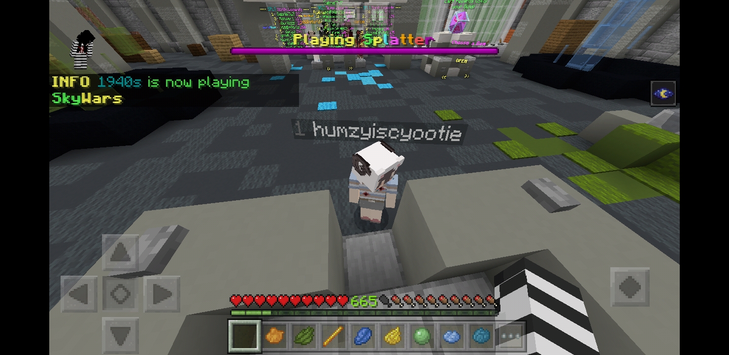 Screenshot_20190513-021854_Minecraft.jpg