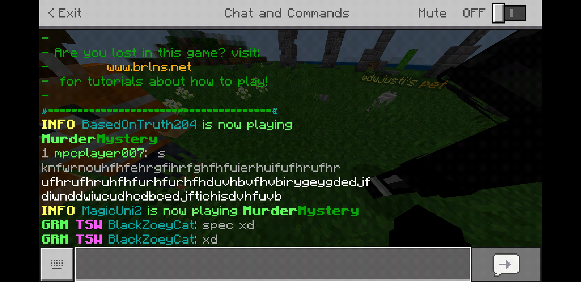 Screenshot_20190518-184320_Minecraft.jpg