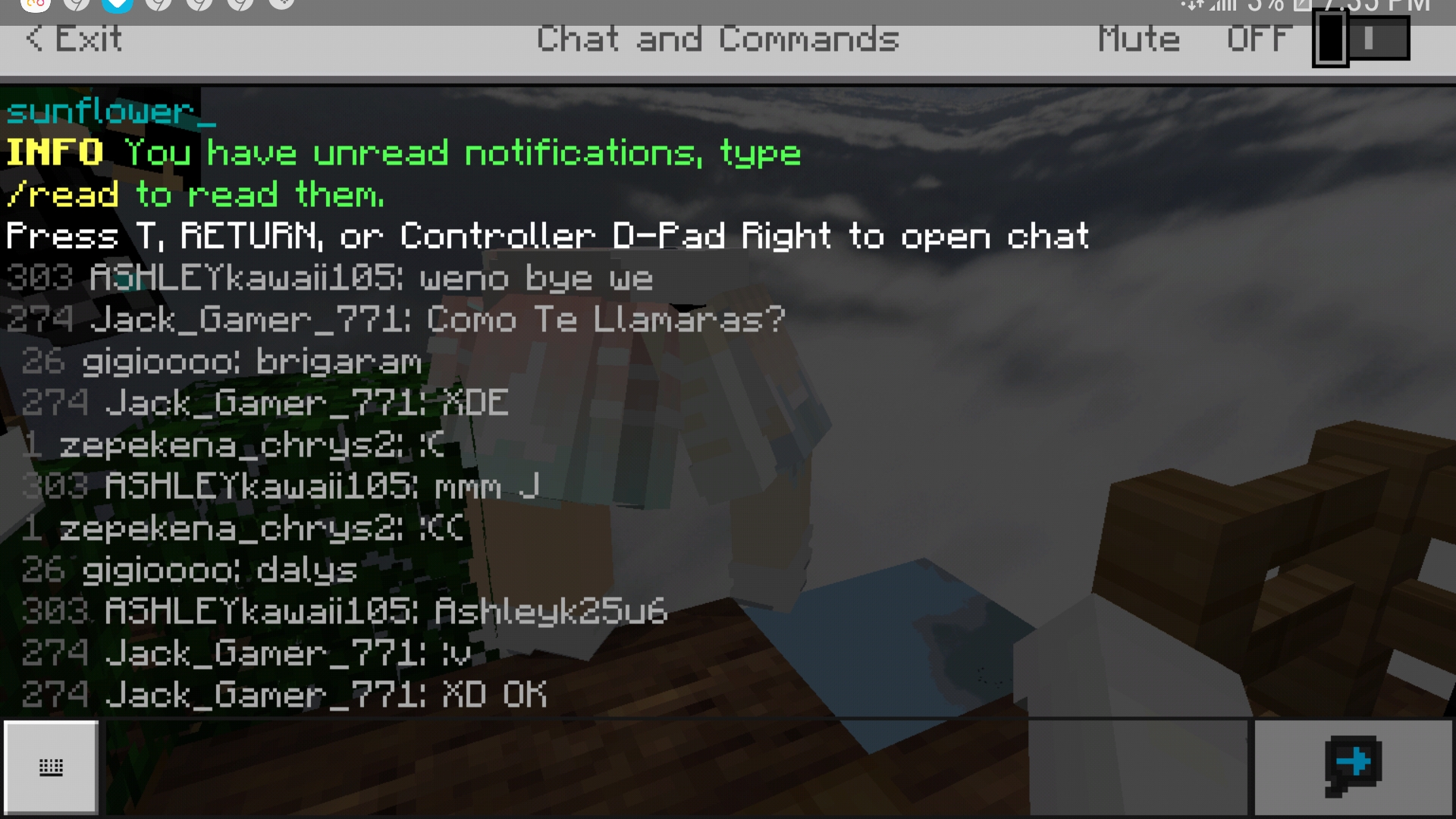 Screenshot_20190519-193507_Minecraft.jpg