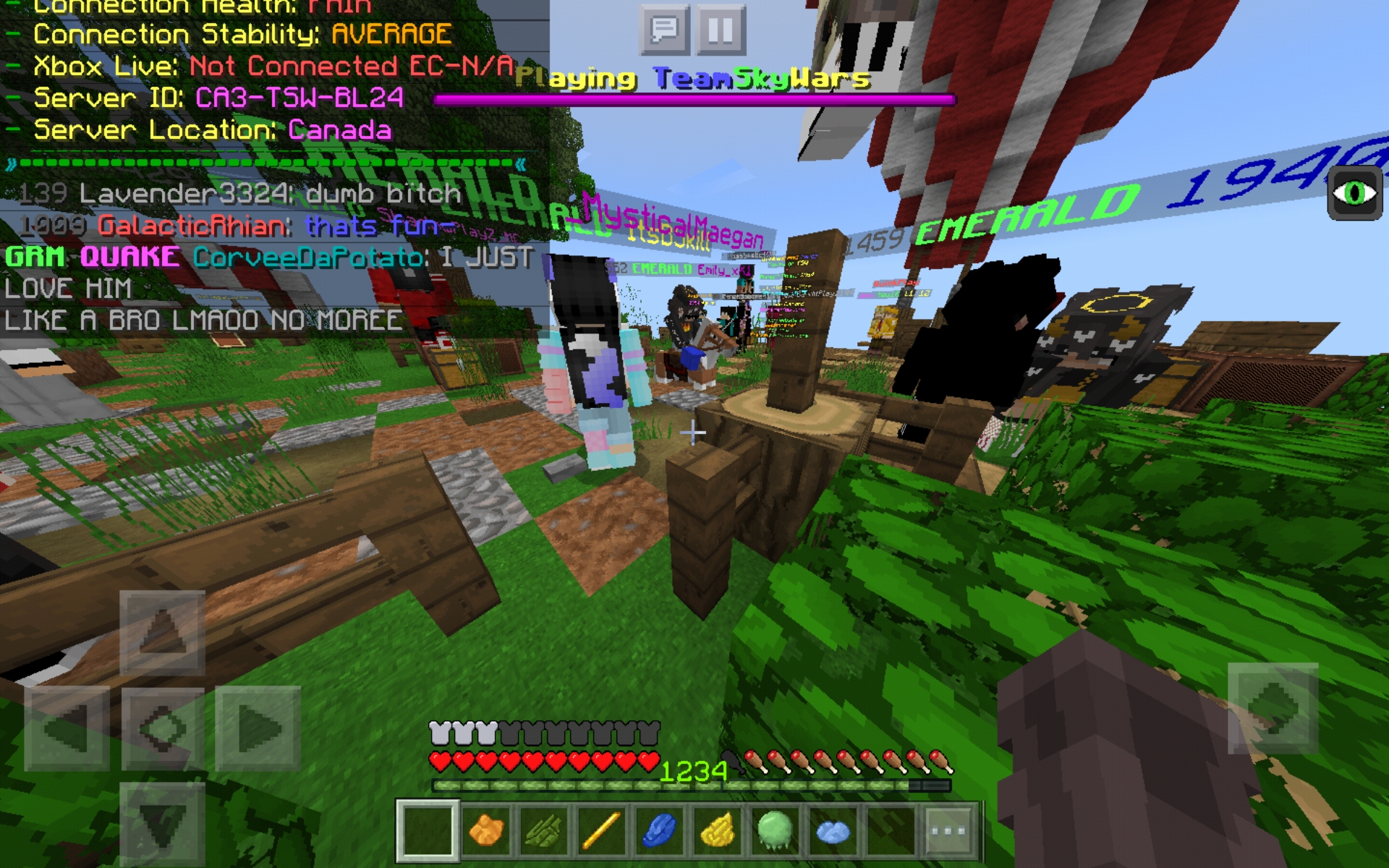 Screenshot_20190519-212510_Minecraft.jpg