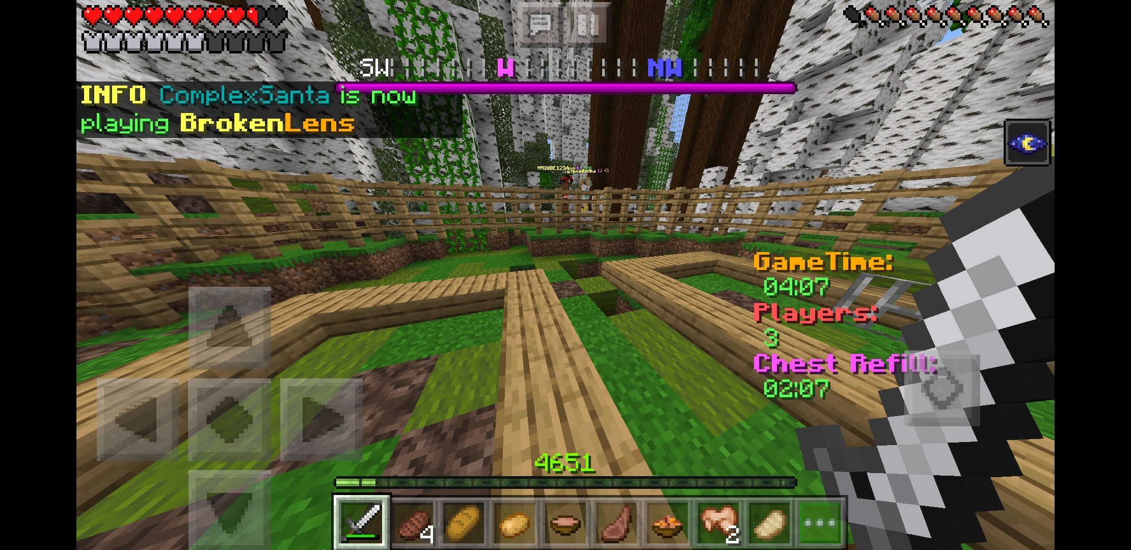 Screenshot_20190522-053130_Minecraft.jpg