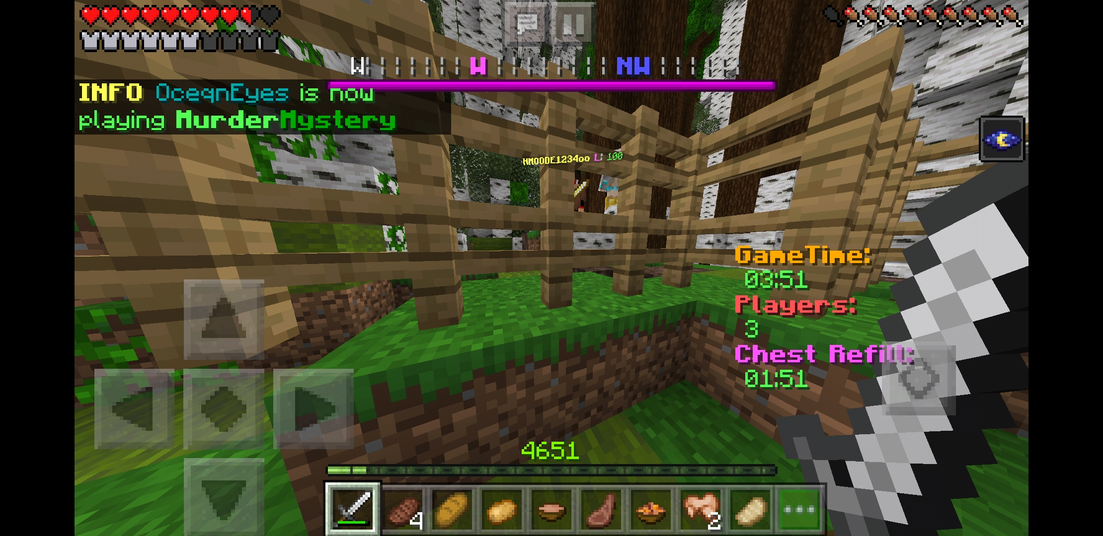 Screenshot_20190522-053146_Minecraft.jpg
