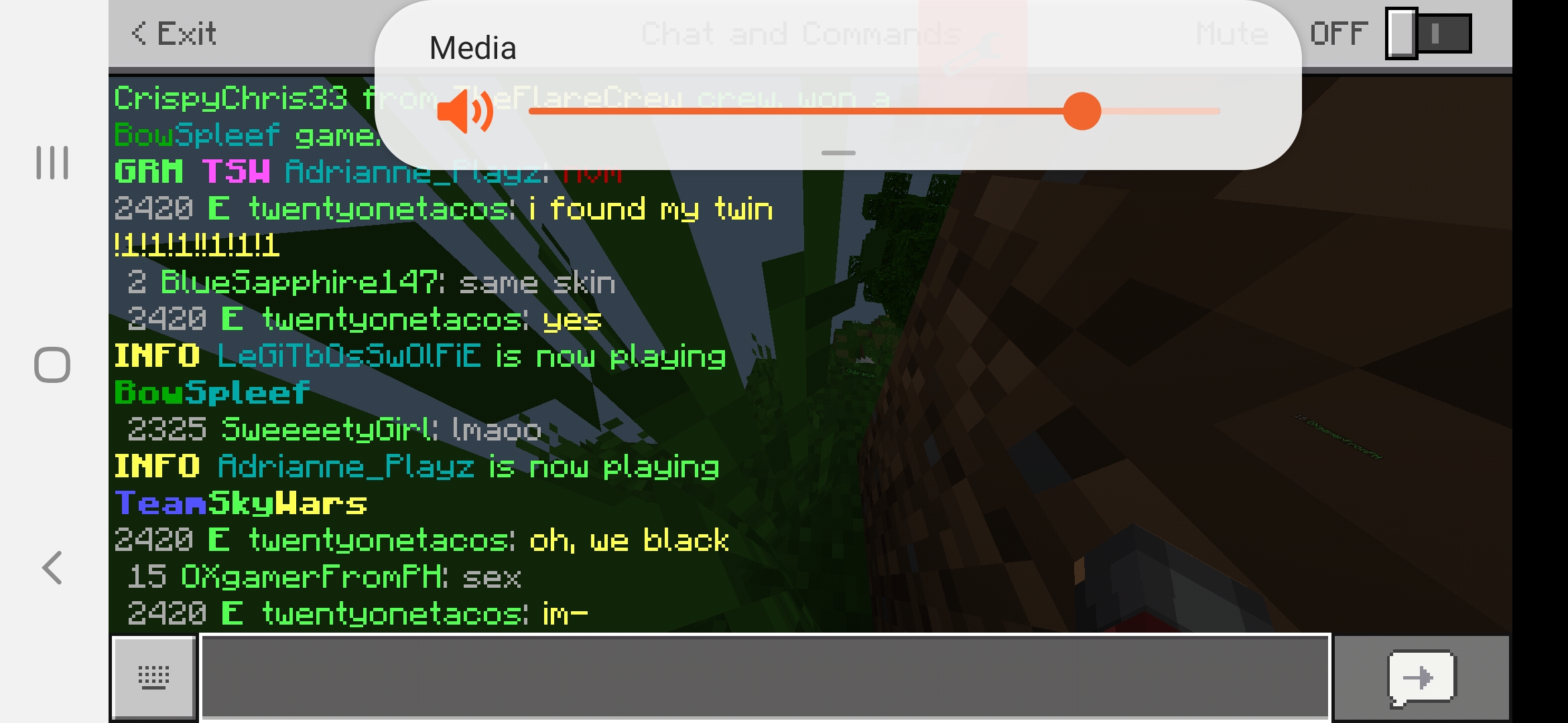 Screenshot_20190530-044157_BlockLauncher Pro.jpg