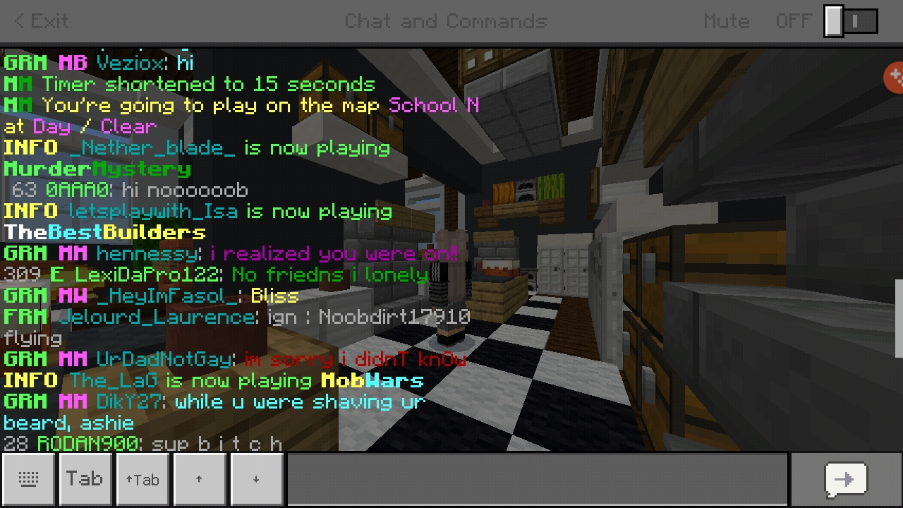 Screenshot_20190609-053233_Minecraft.jpg
