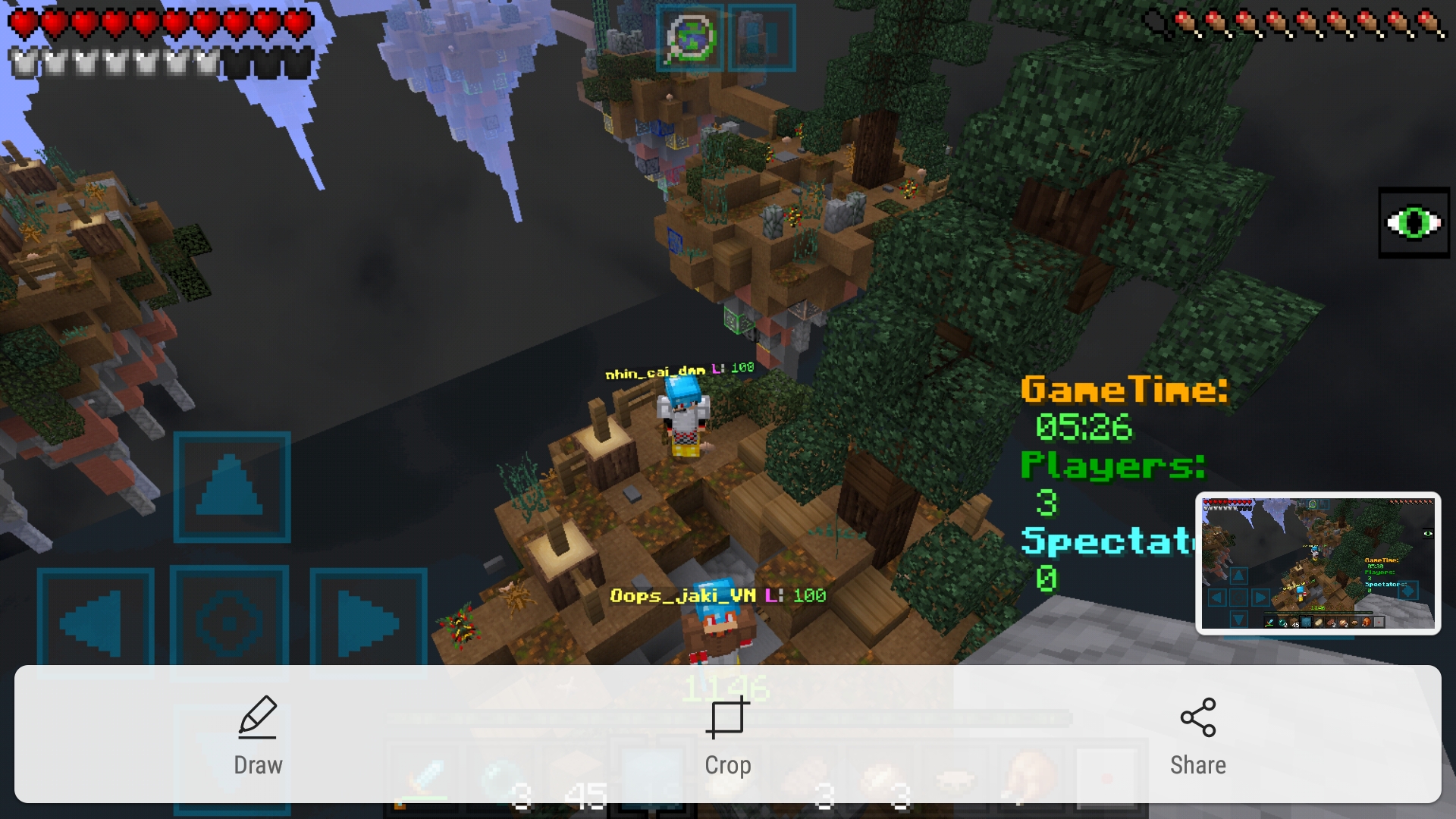 Screenshot_20190613-091605_Minecraft.jpg