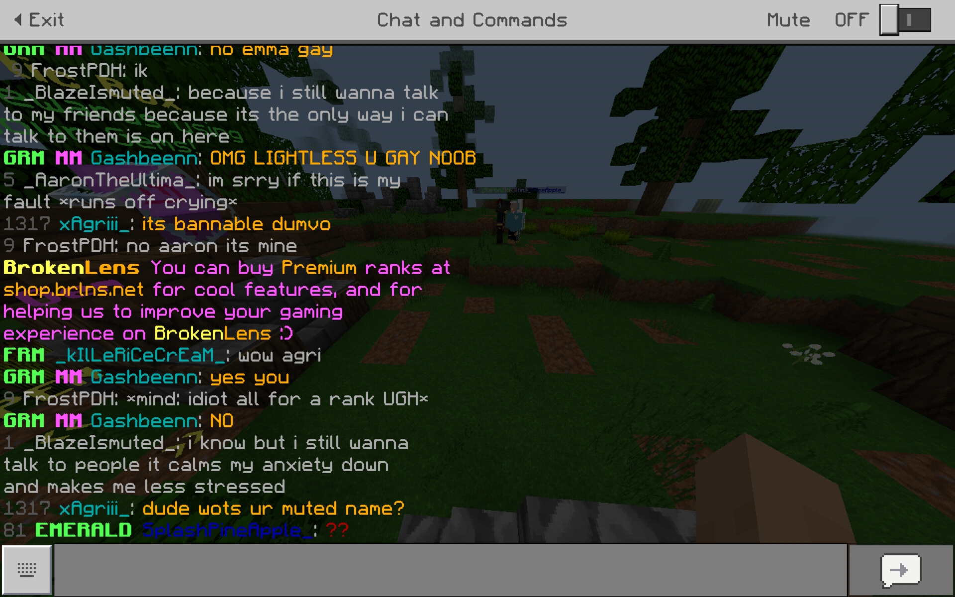Screenshot_20190619-185900_Minecraft.jpg