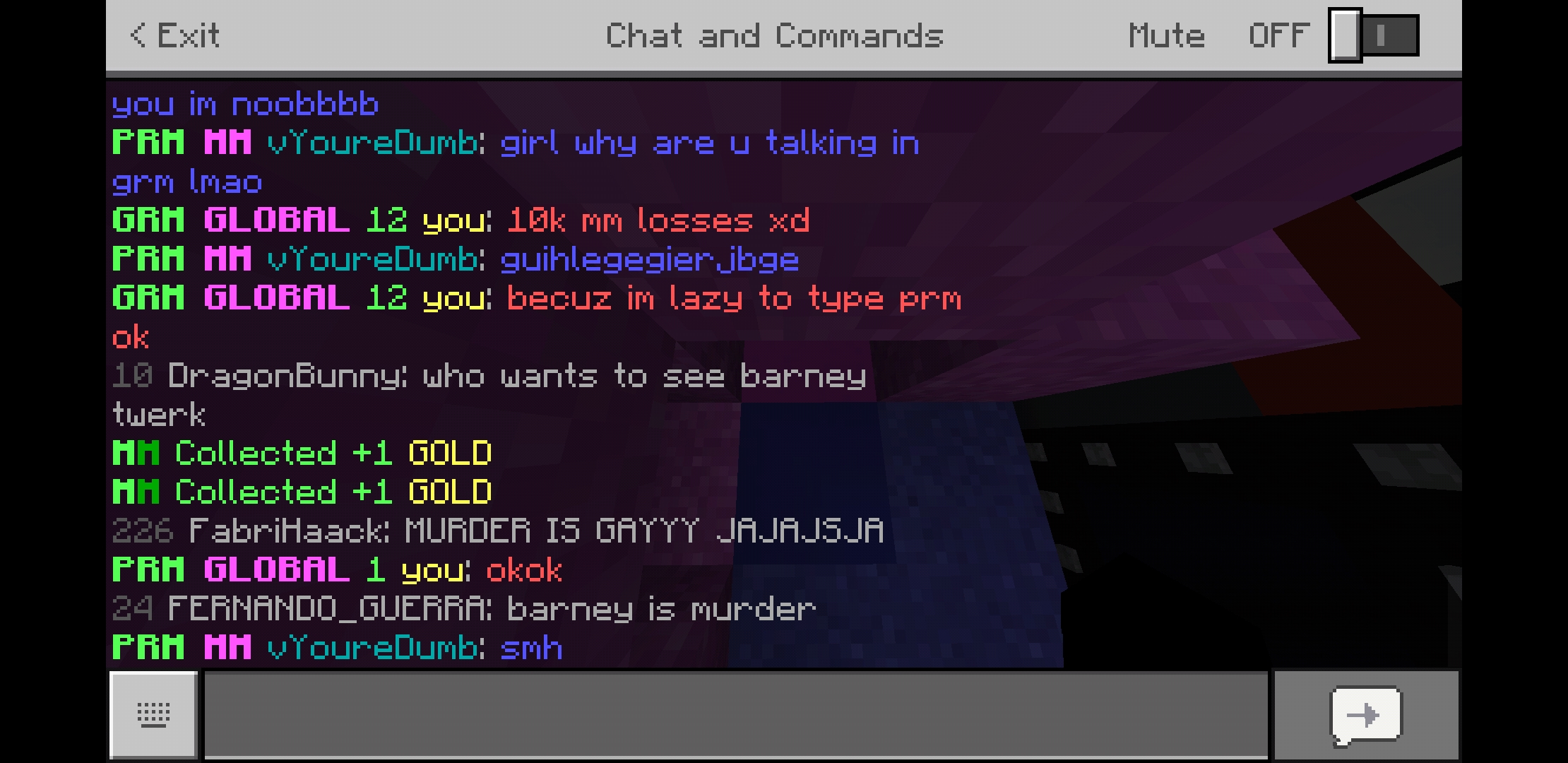 Screenshot_20190623-203534_Minecraft.jpg