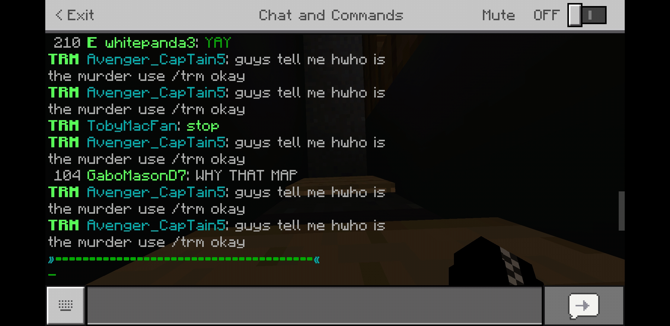 Screenshot_20190704-103113_Minecraft.jpg