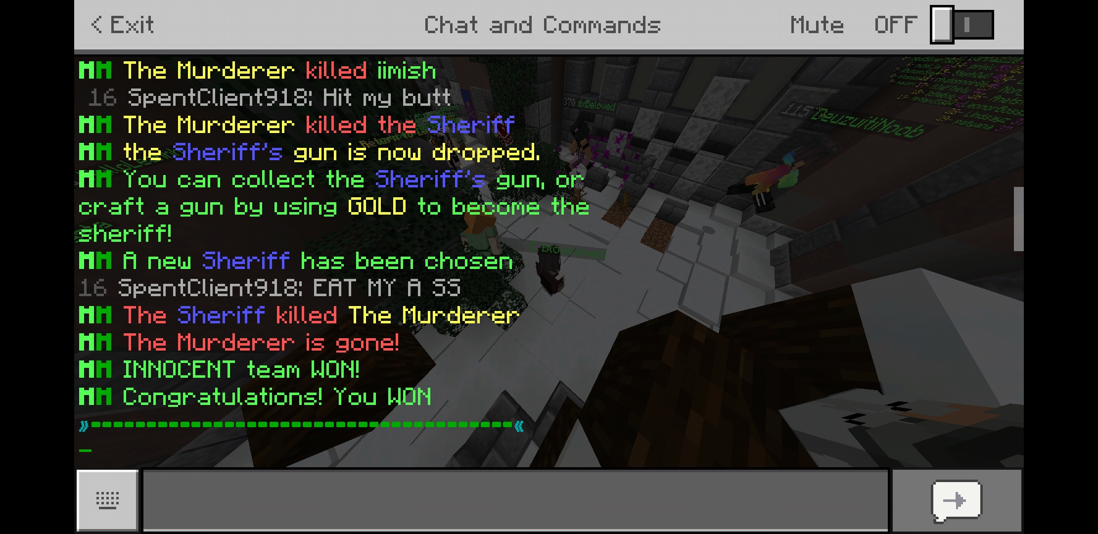 Screenshot_20190707-201821_Minecraft.jpg