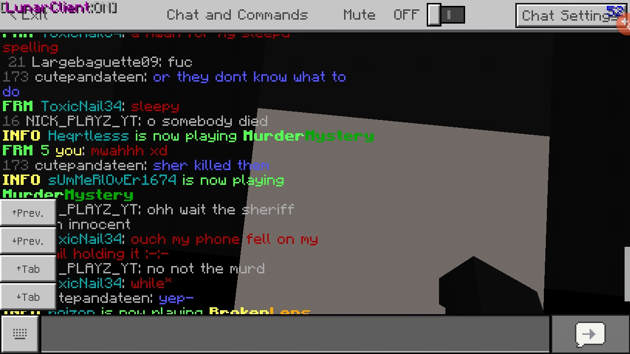 Screenshot_20190727-010035_Minecraft.jpg