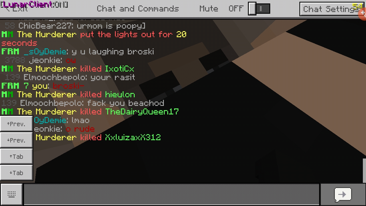Screenshot_20190727-031205_Minecraft.jpg