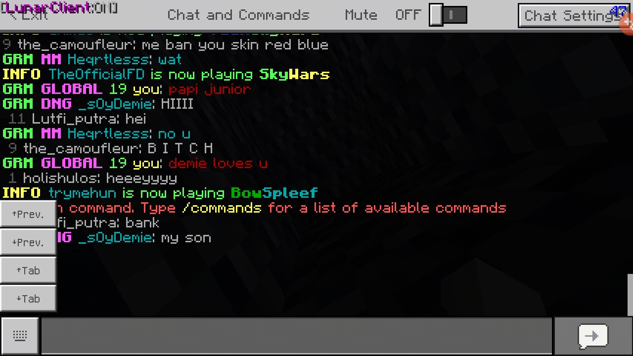 Screenshot_20190727-052457_Minecraft.jpg