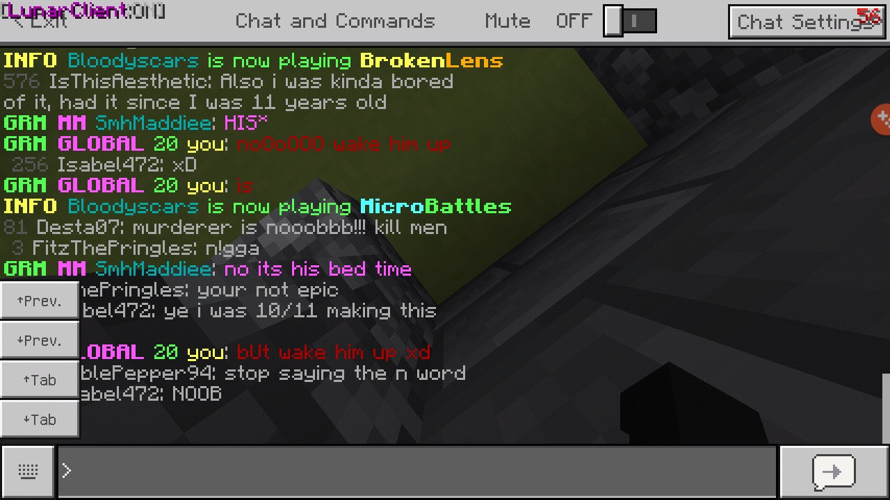 Screenshot_20190728-025322_Minecraft.jpg
