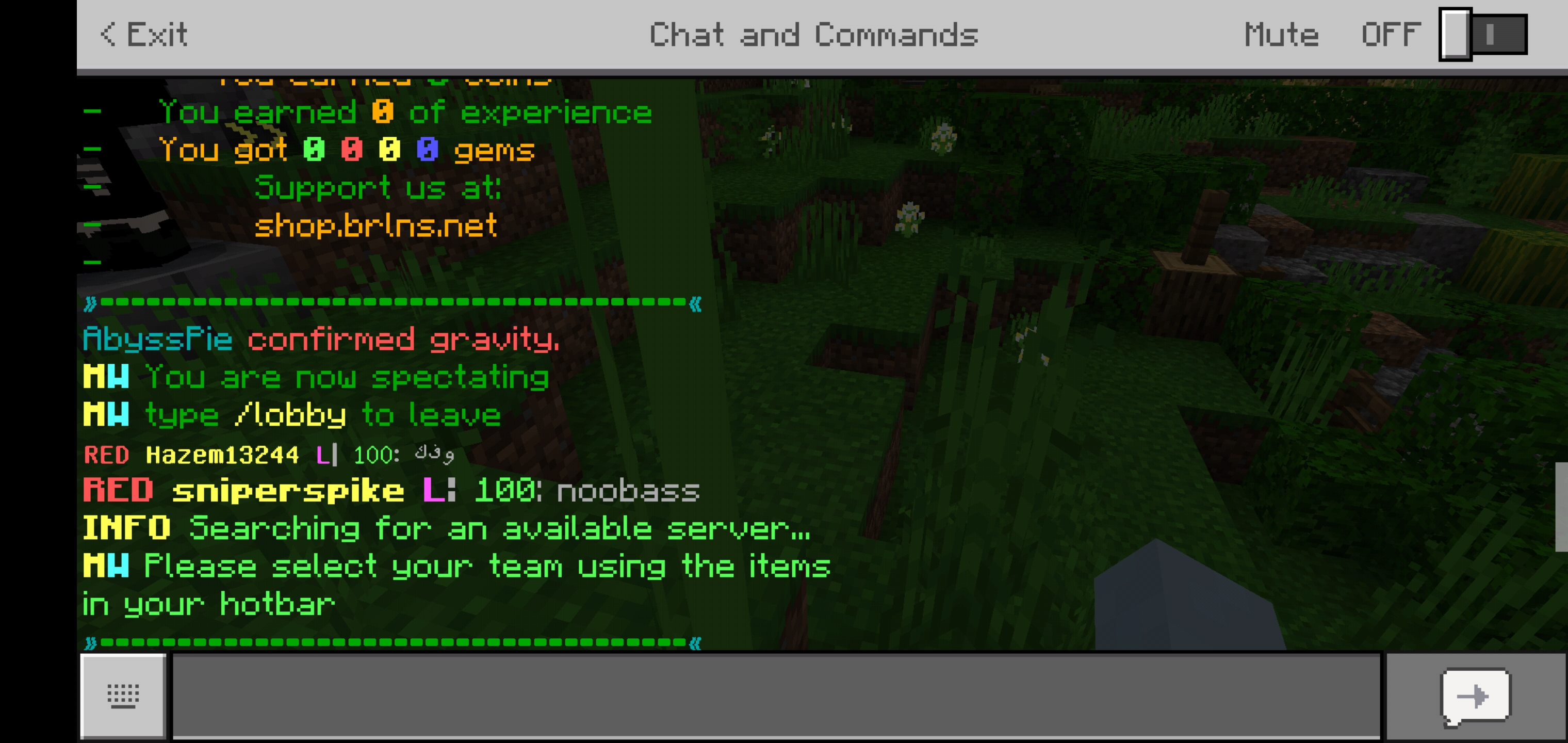 Screenshot_20190731-194921_Minecraft.jpg