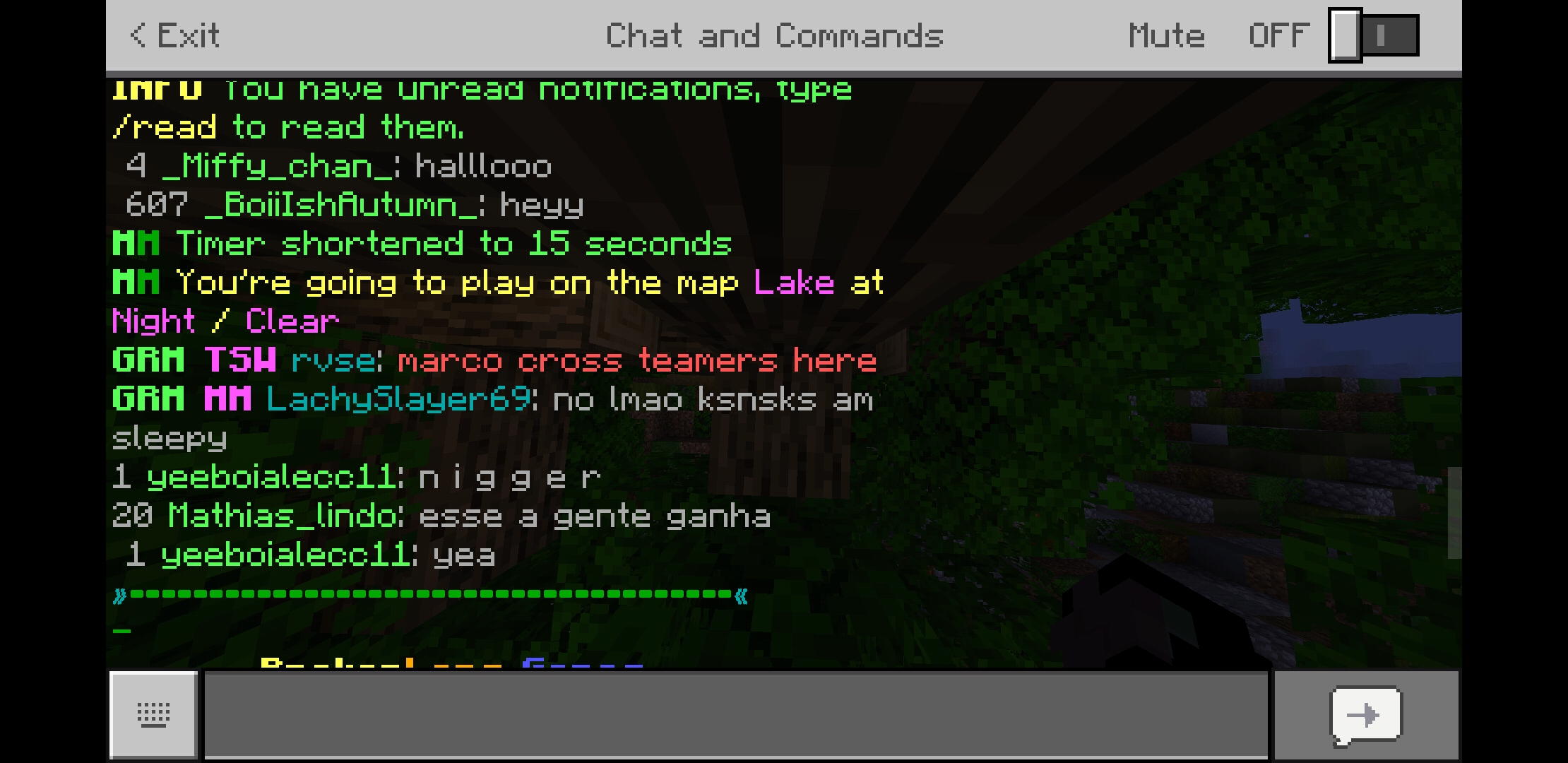 Screenshot_20190802-034115_Minecraft.jpg
