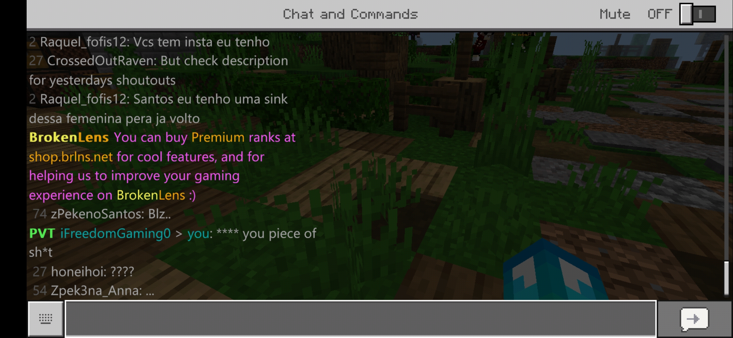 Screenshot_20190802_132523_com.mojang.minecraftpe.jpg