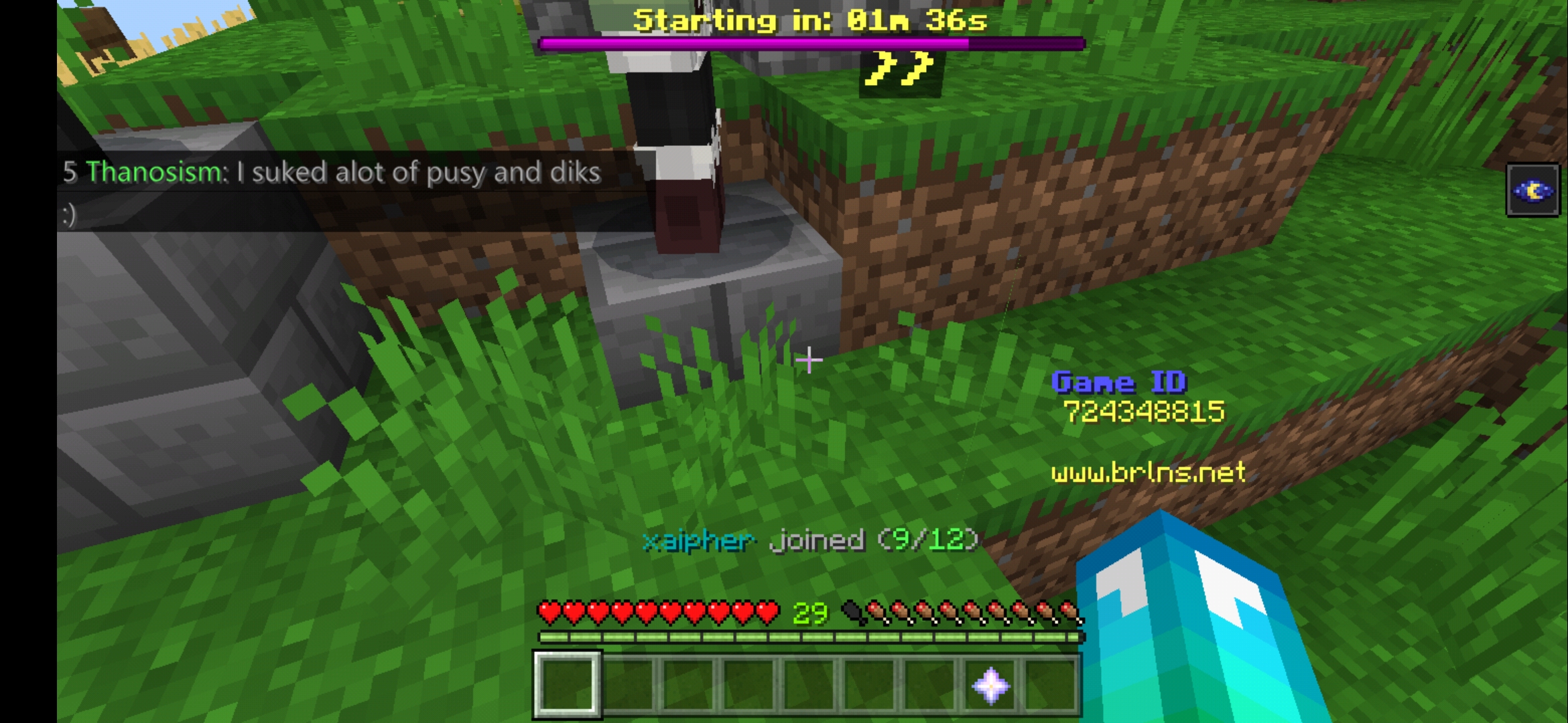 Screenshot_20190803_122911_com.mojang.minecraftpe.jpg