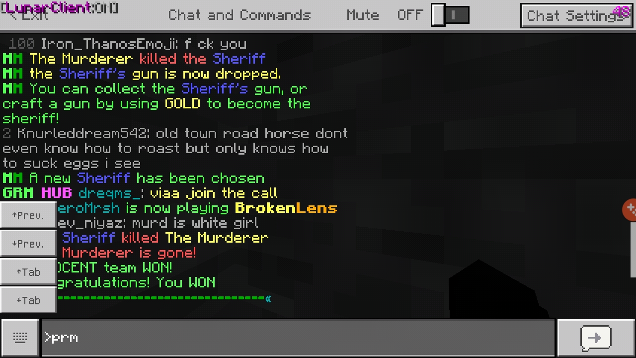 Screenshot_20190804-091259_Minecraft.jpg