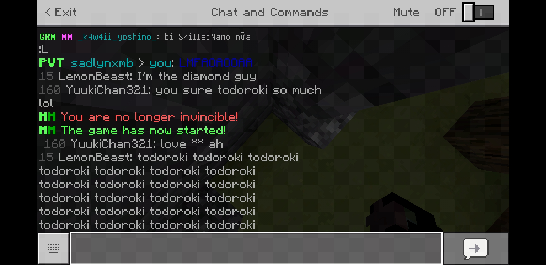 Screenshot_20190806-213107_Minecraft.jpg