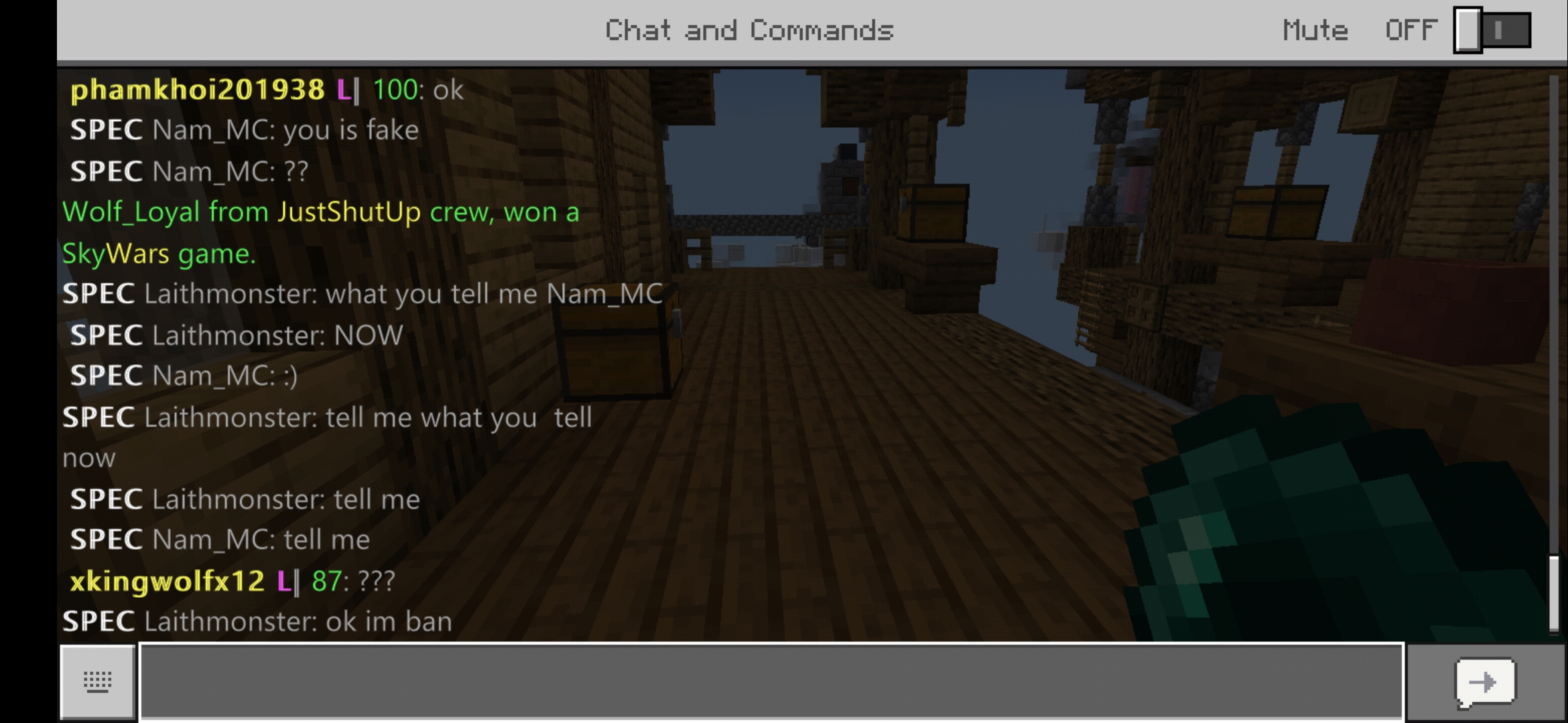 Screenshot_20190815_122351_com.mojang.minecraftpe.jpg