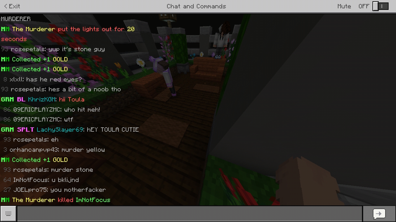 Screenshot_20190817-142228_Minecraft.jpg