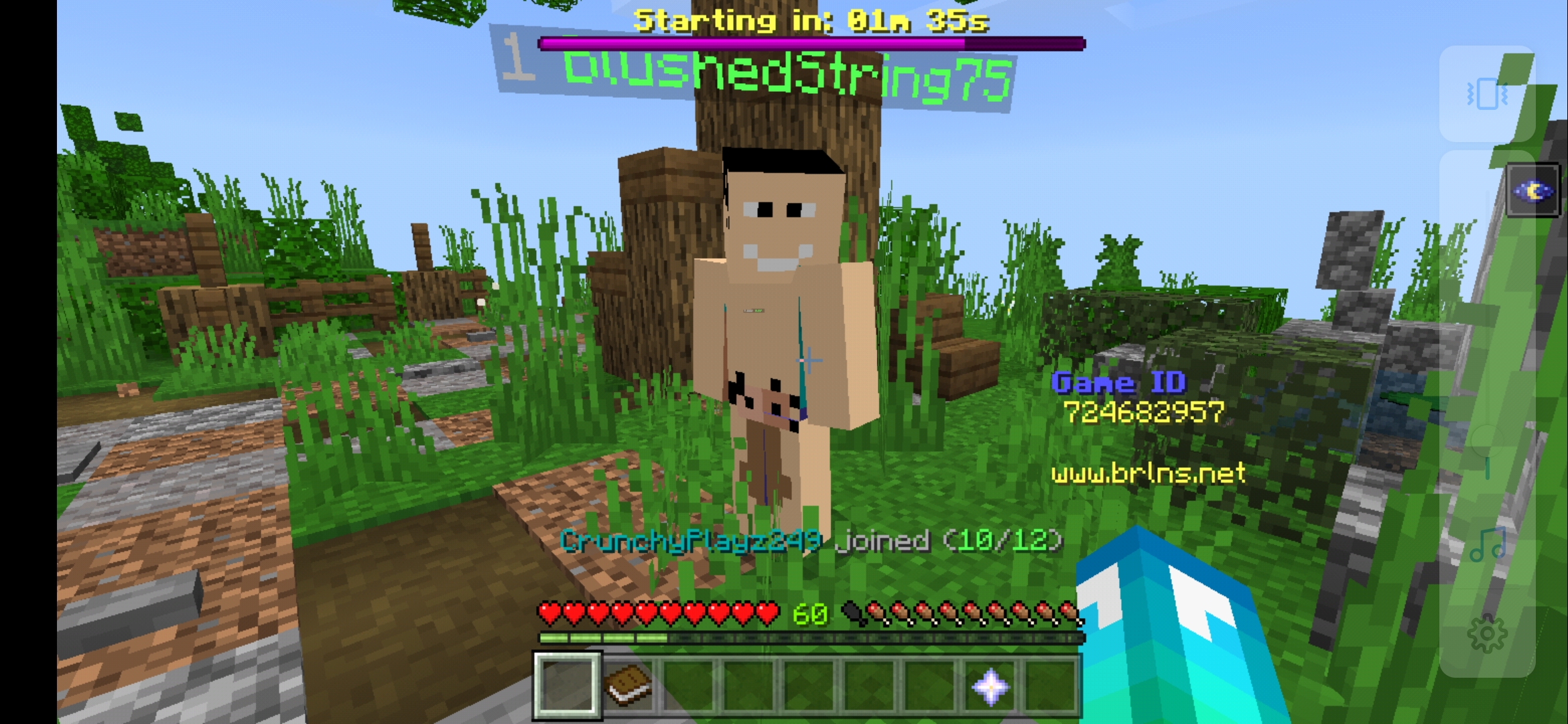 Screenshot_20190818_114749_com.mojang.minecraftpe.jpg
