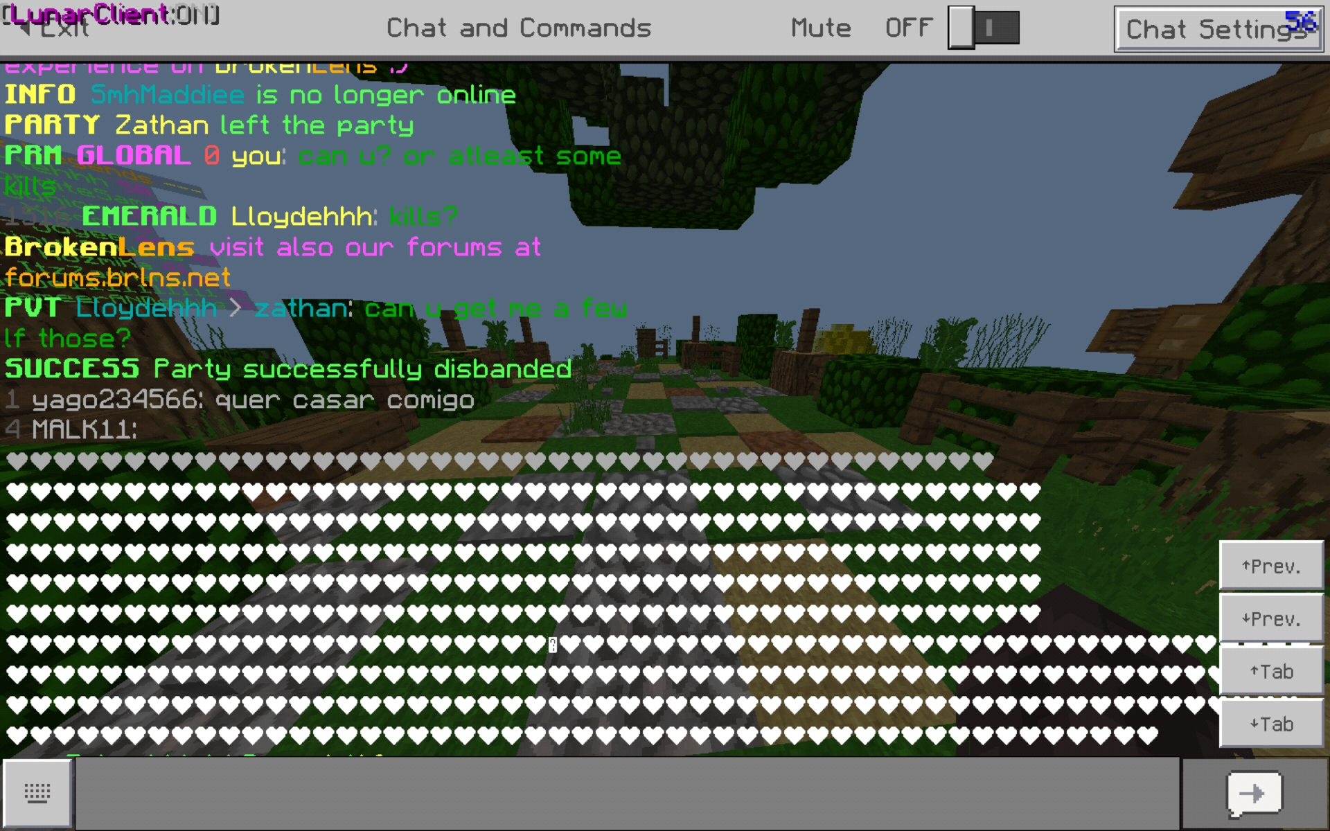 Screenshot_20190828-201529_Minecraft.jpg
