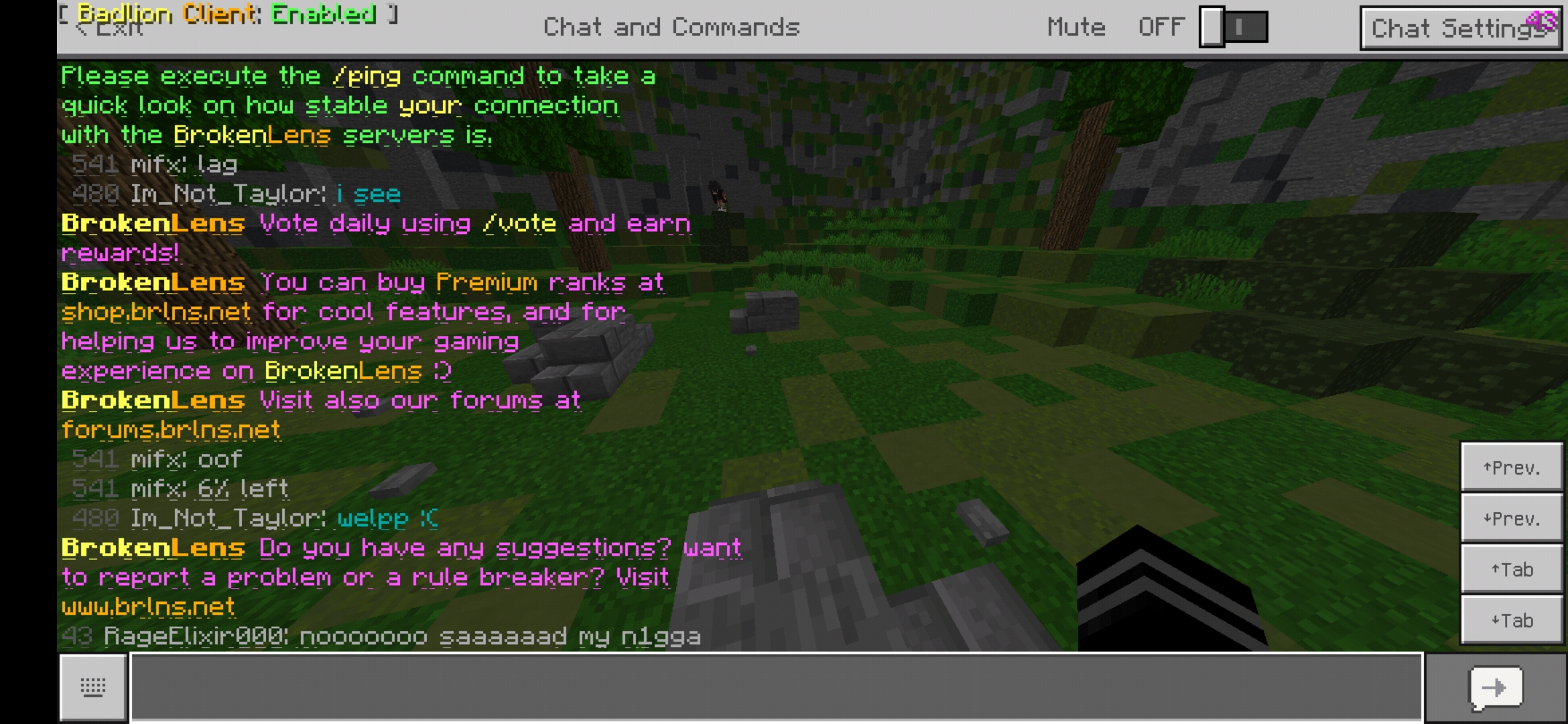 Screenshot_20190909-110803_Minecraft.jpg