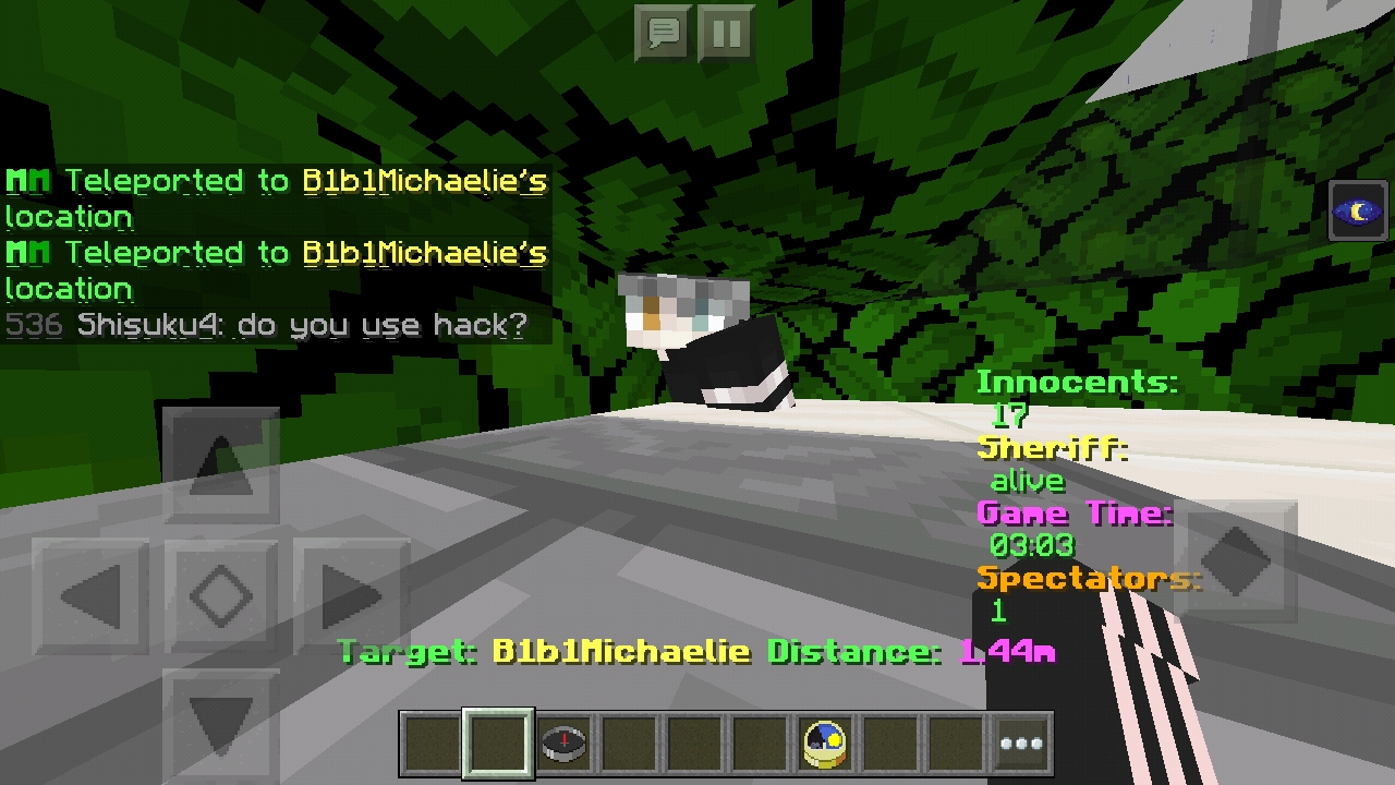 Screenshot_20190916-130204_Minecraft.jpg