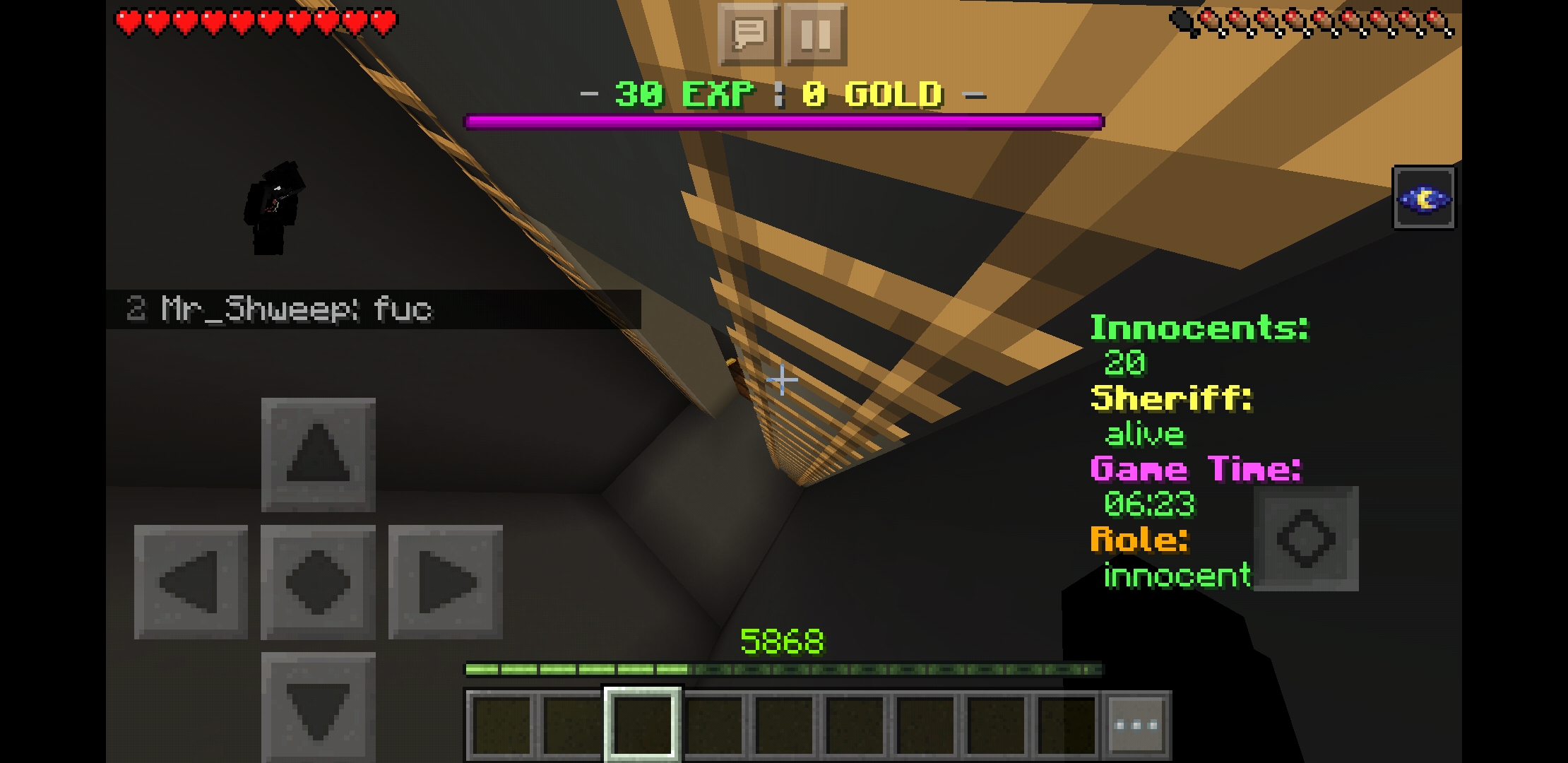 Screenshot_20190917-070248_Minecraft.jpg
