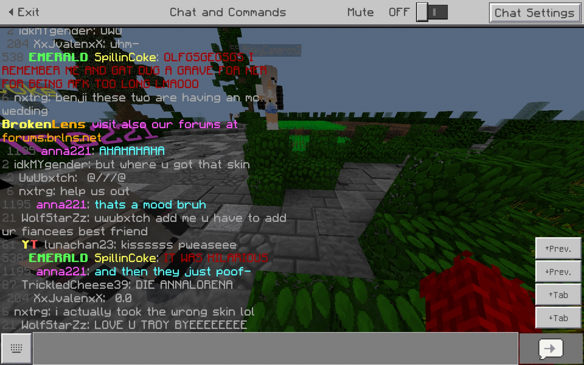 Screenshot_20190921-212054_Minecraft.jpg