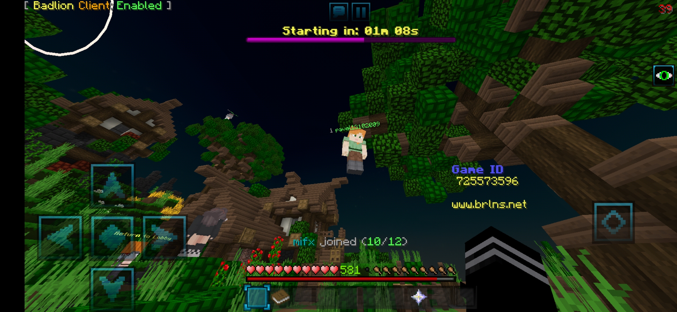 Screenshot_20191011-081905_Minecraft.jpg