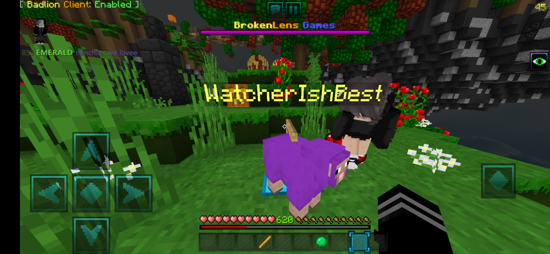 Screenshot_20191030-092934_Minecraft.jpg