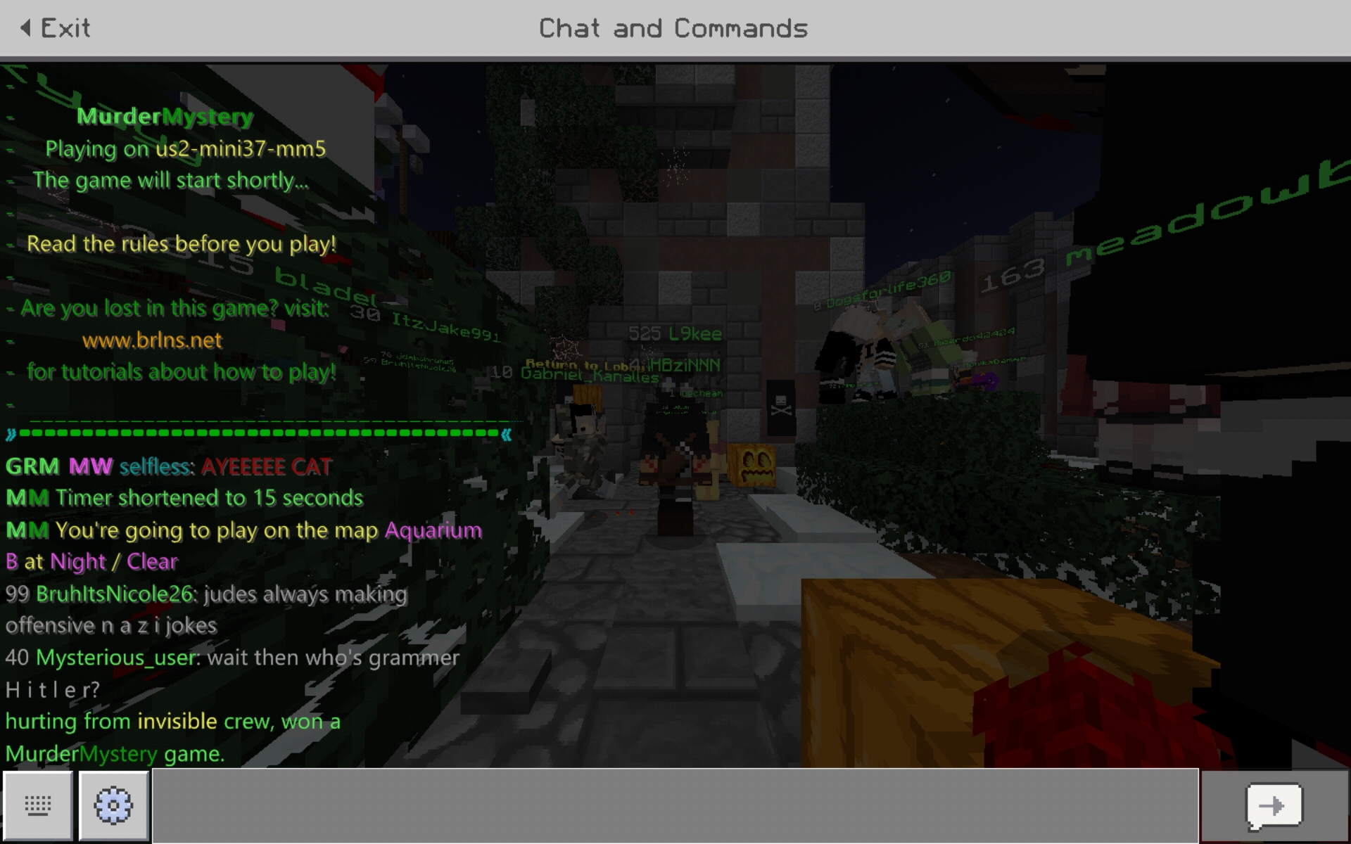 Screenshot_20191102-213040_Minecraft.jpg