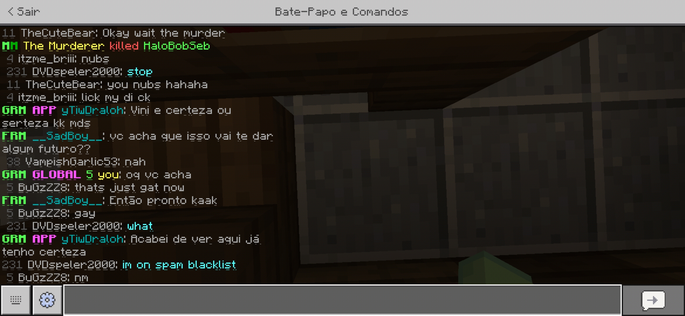 Screenshot_20191128-200712_Minecraft.jpg